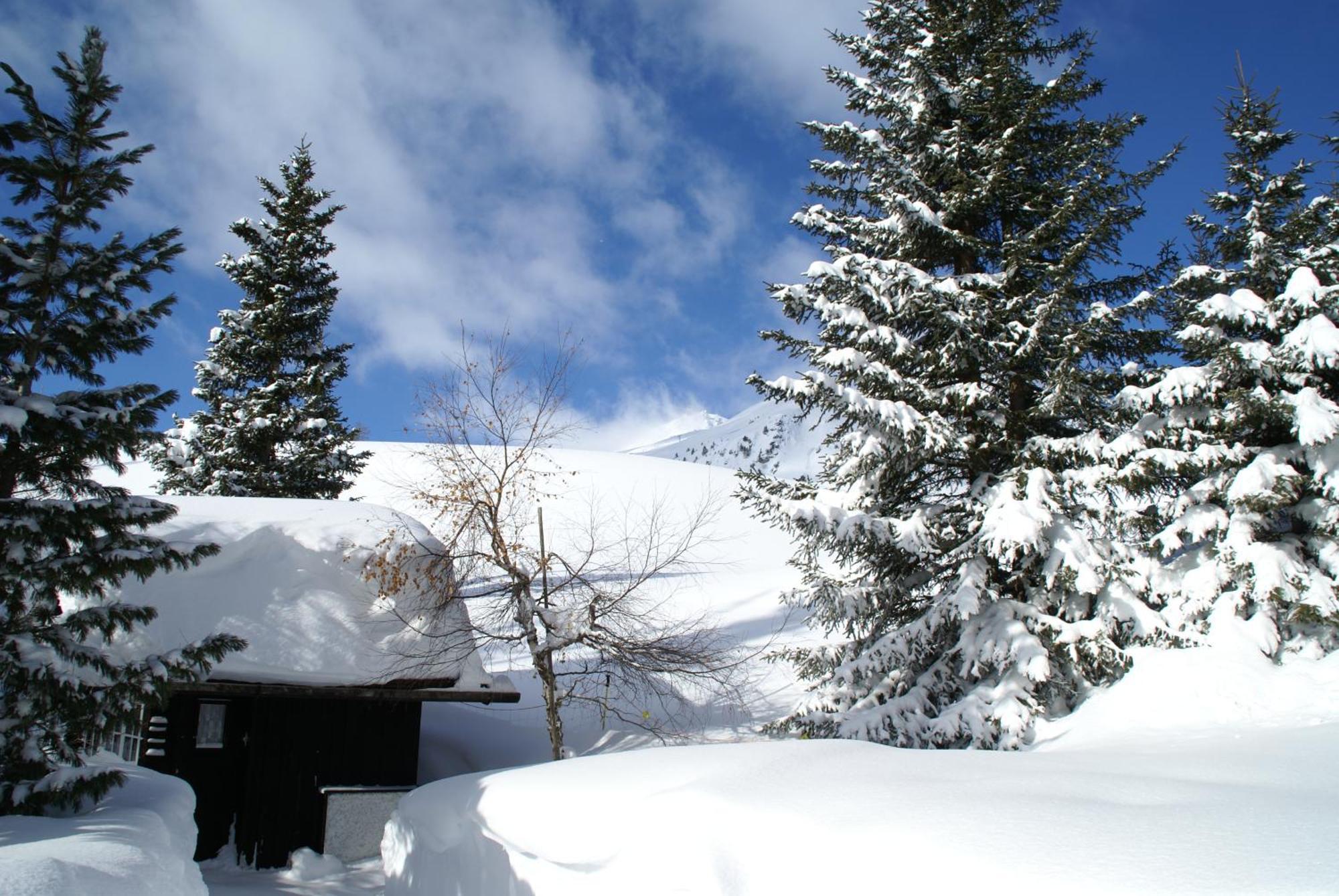 Chalet Baur Arosa Exterior photo